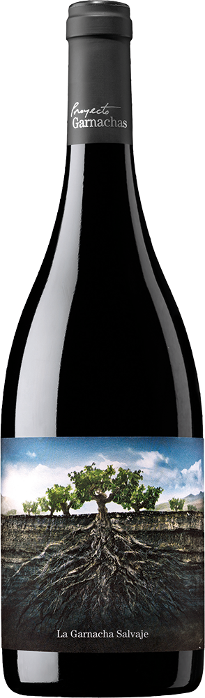 2022 La Garnacha Salvaje del Moncayo Ribera del Queiles VT 2022 La Garnacha Salvaje del Moncayo Ribera del Queiles VT